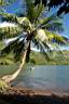 HoneyMoon 217.jpg